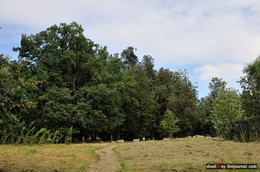 усадьба Троицкое (Мосрентген)