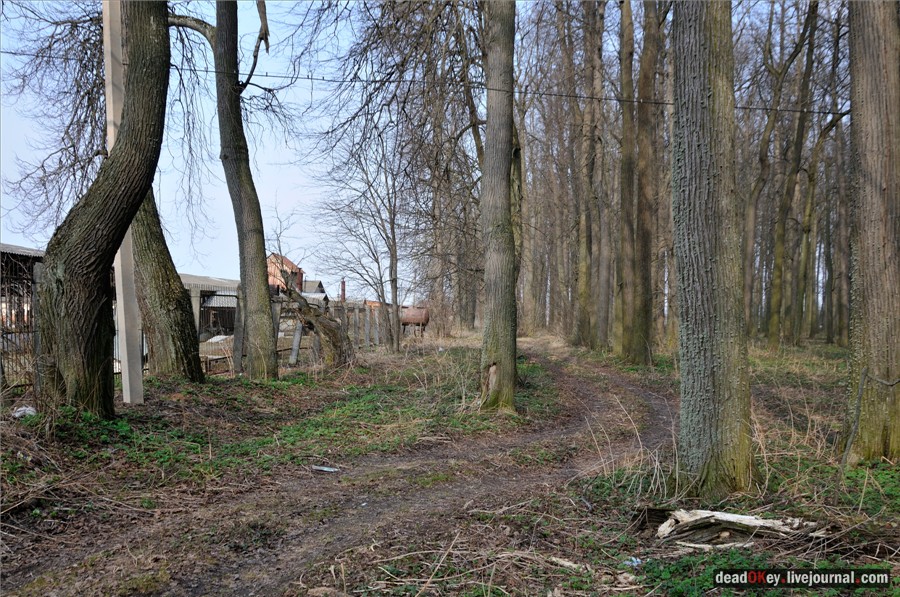 усадьба Городня