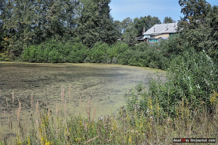 усадьба Хомяково