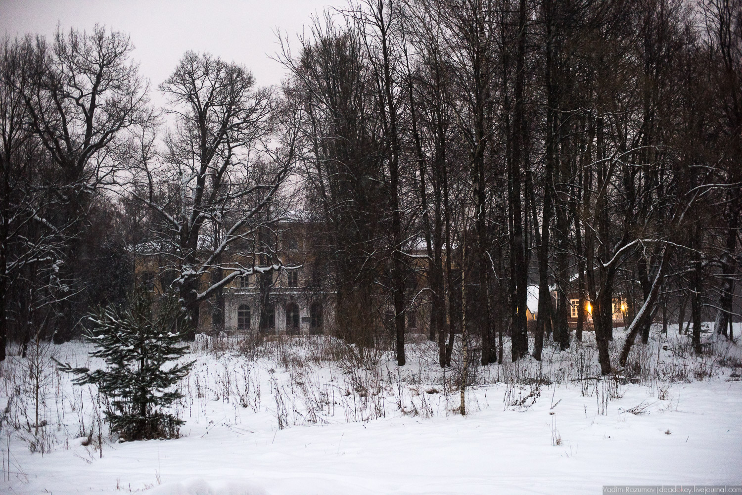 усадьба Знаменское-Садки