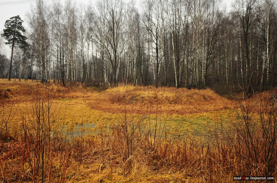 усадьба Савинское