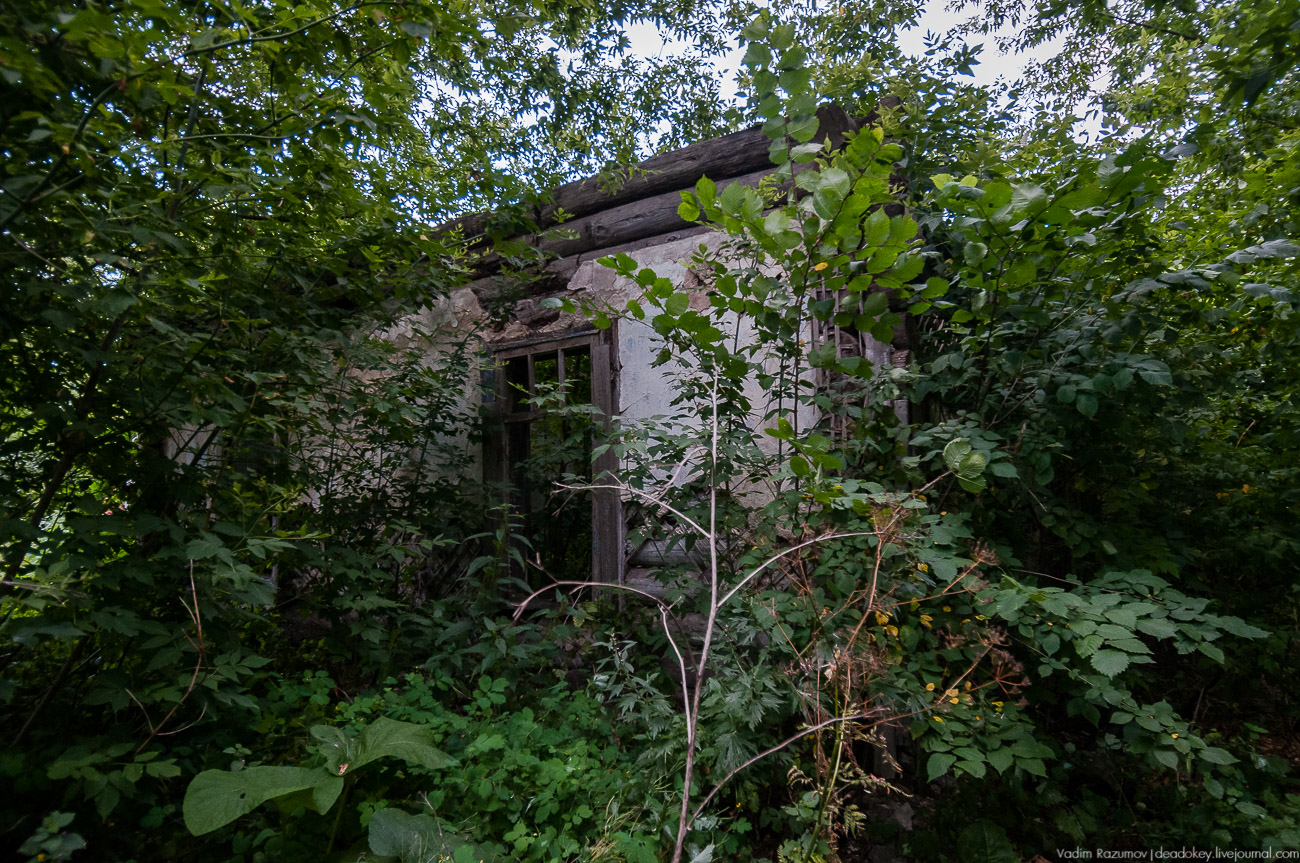 усадьба Липовка