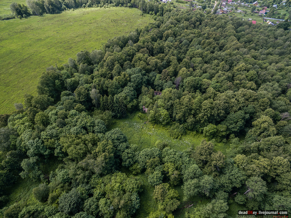 усадьба Верзилово, аукцион 19 июля, съемка с квадрокоптера