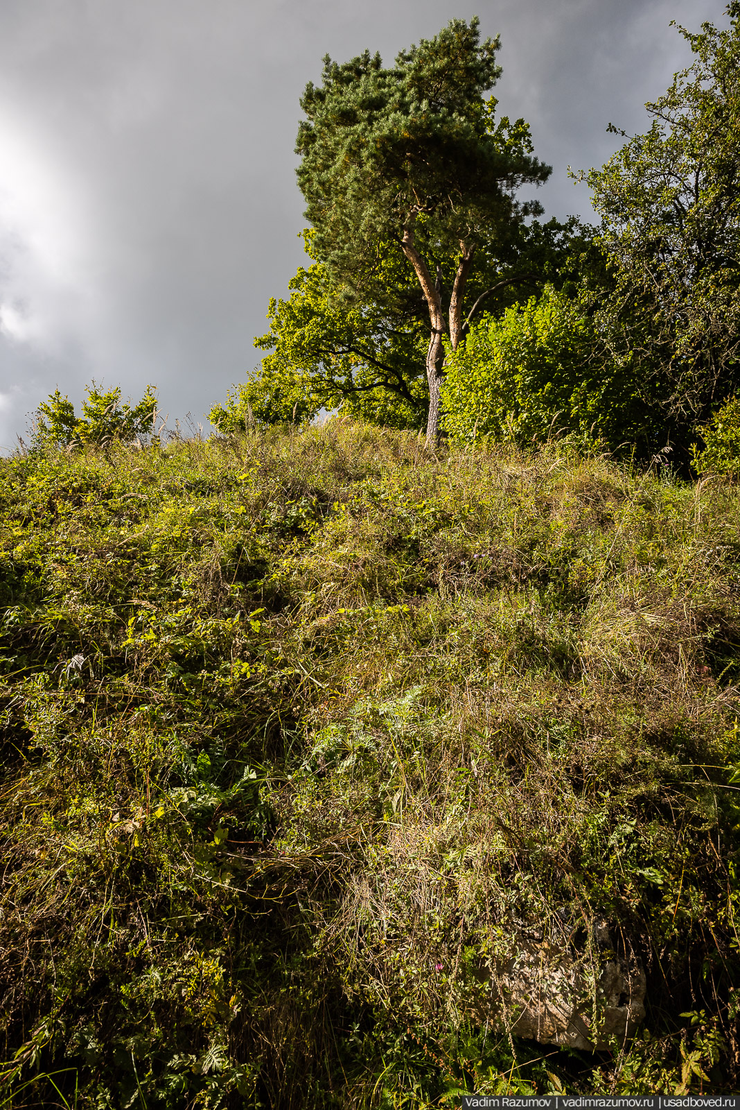 Городище Луковня, Подольское море