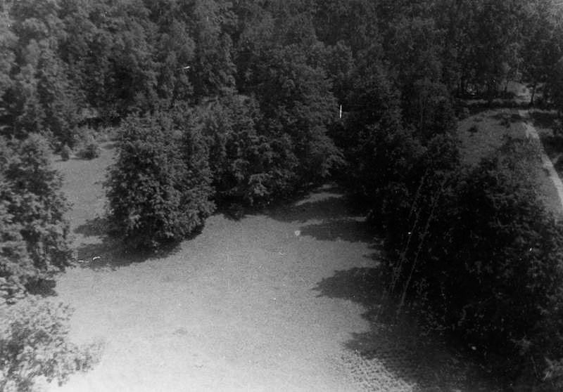 усадьба Гребнево старые фотографии.