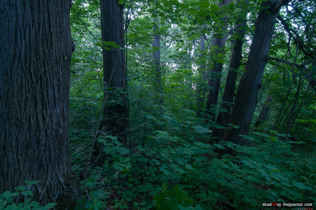 Усадьба Верзилово