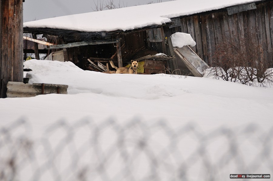 усадьба Кривцы