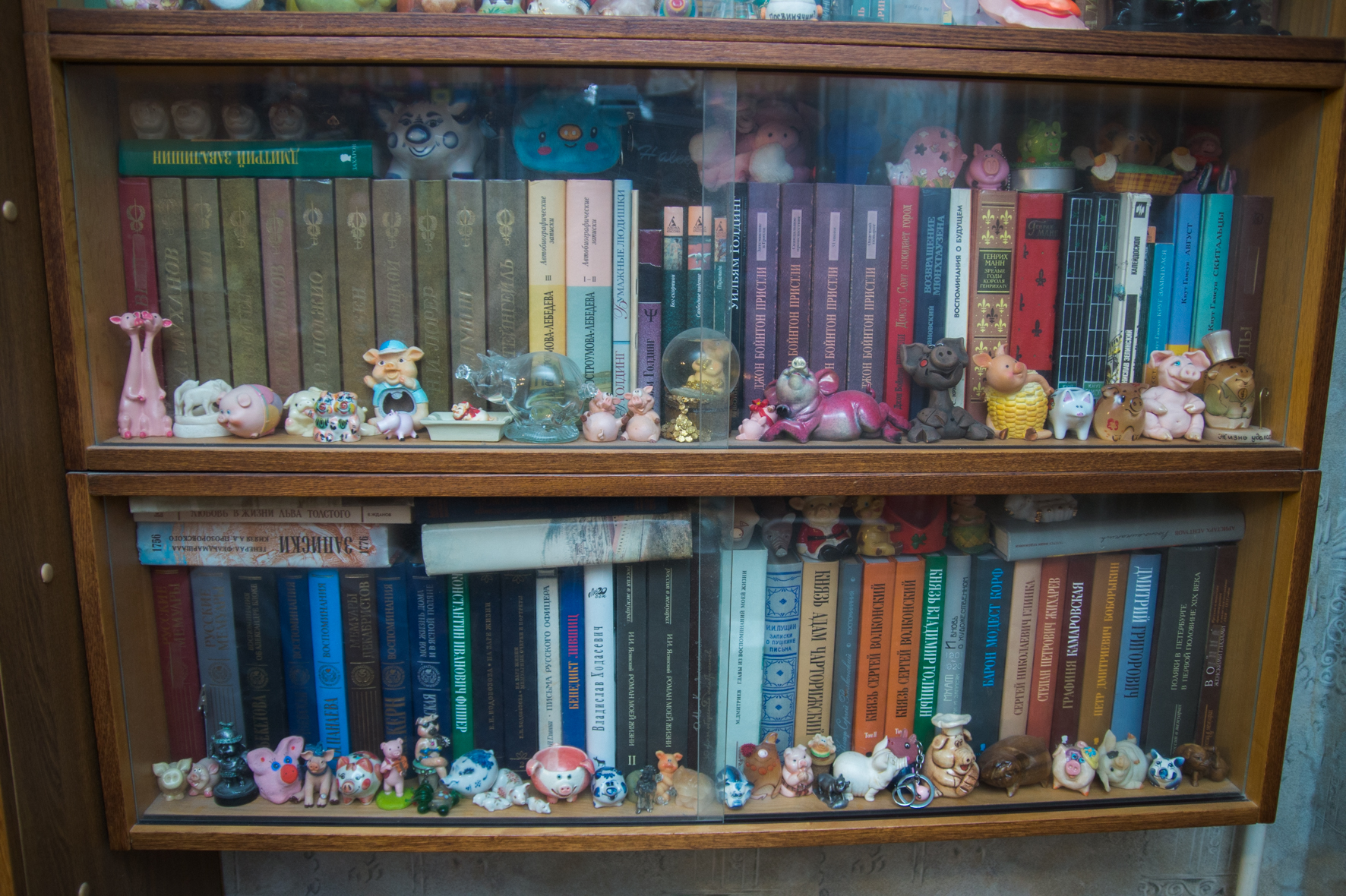 Свиньи, музей свиней