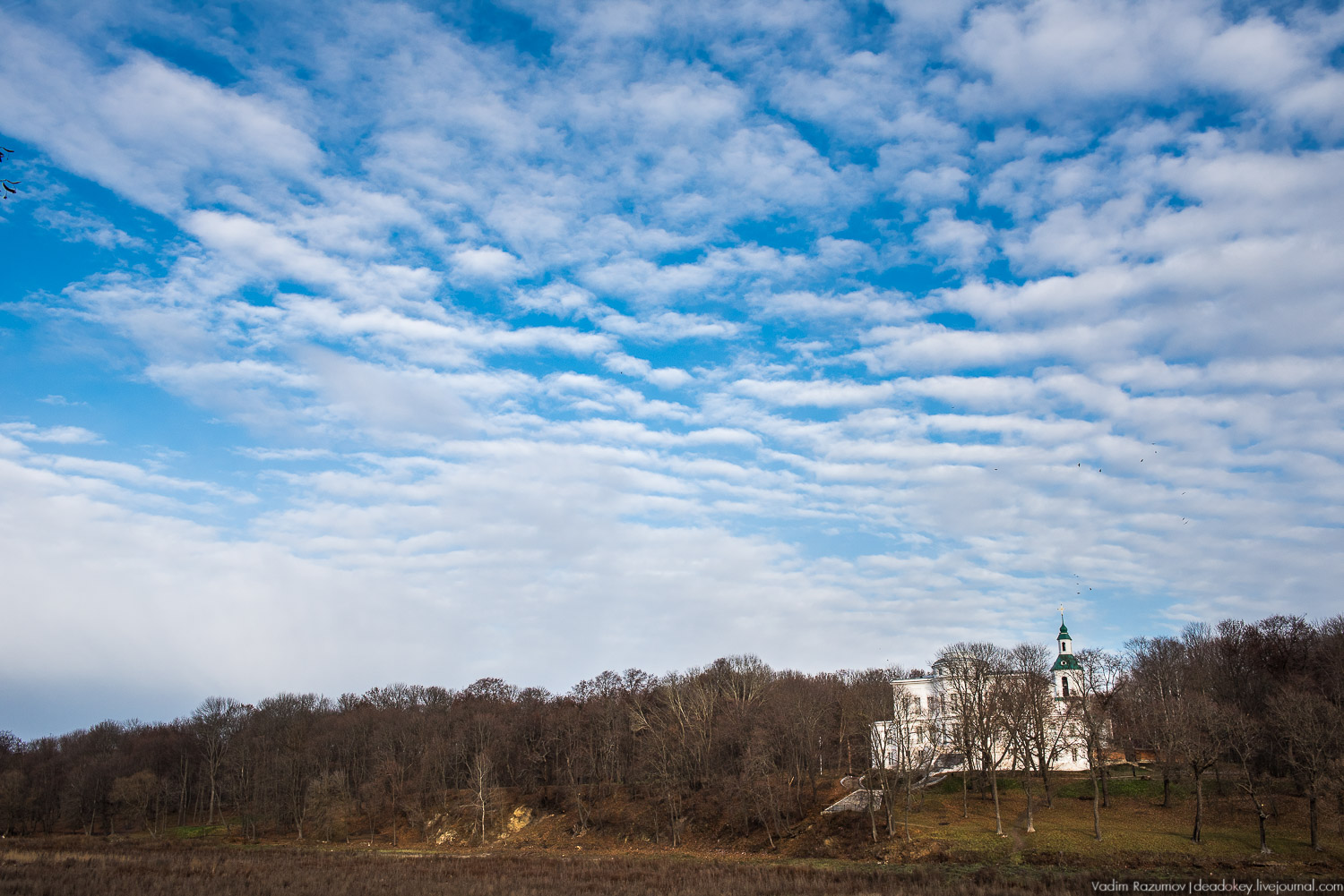 Богородицк, ограда набережной дворцового пруда