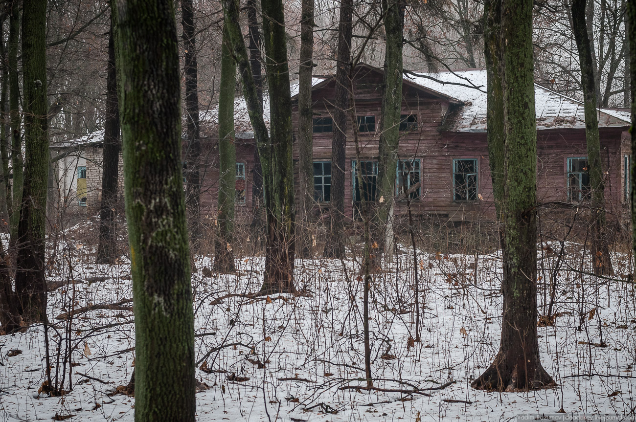 Летопись русской усадьбы. Усадьбы 2017 года