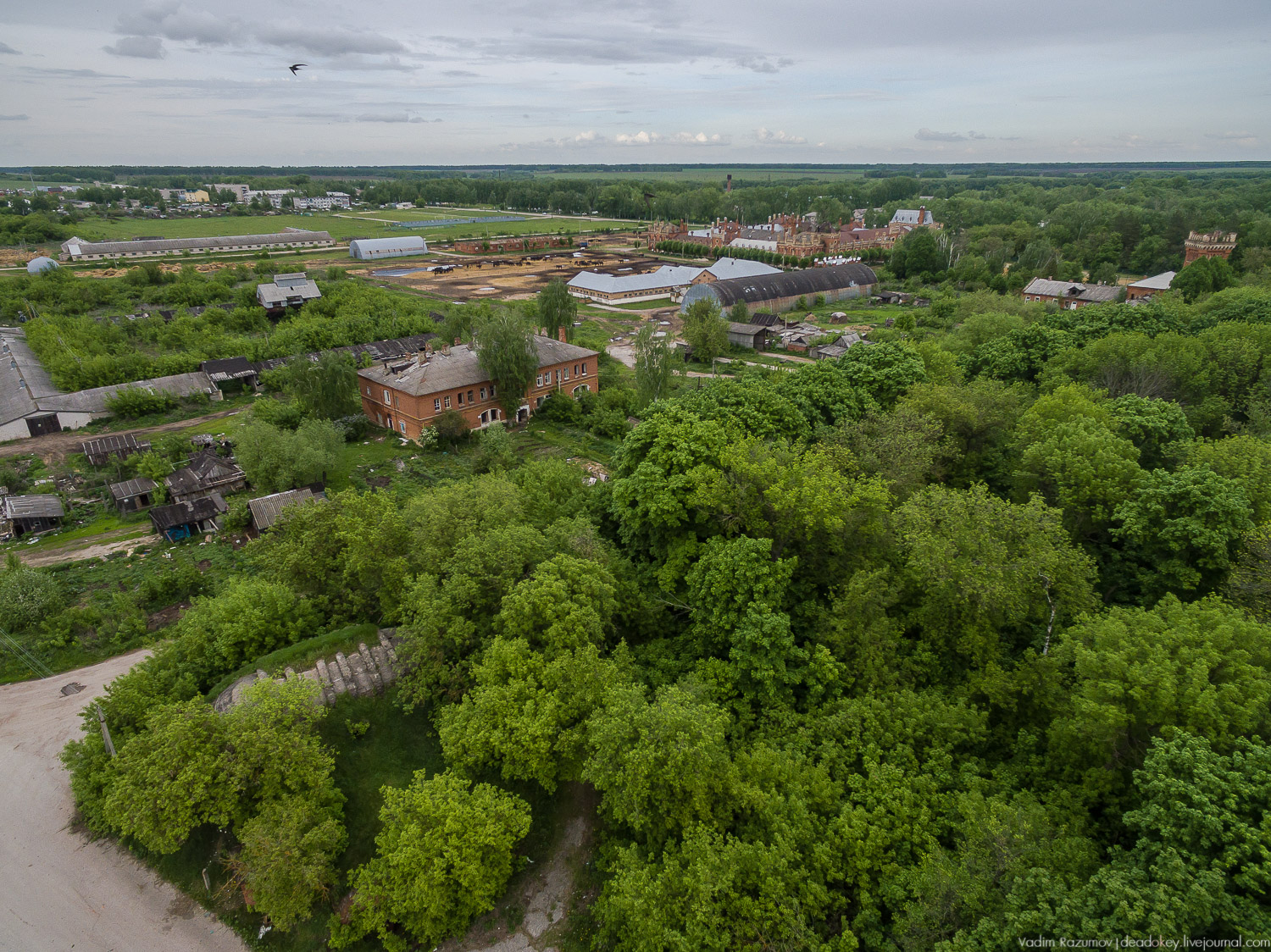 усадьба Старожилово, конезавод