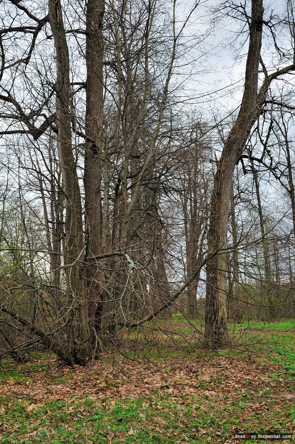 усадьба Антипино