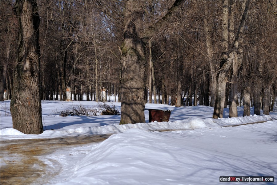 усадьба Кривякино