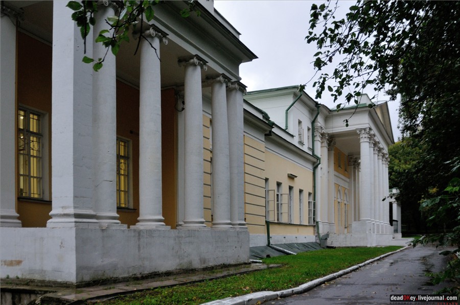 усадьба Строганова Дача