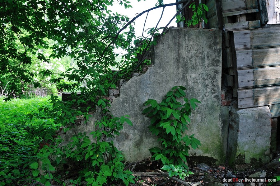 усадьба Ситники