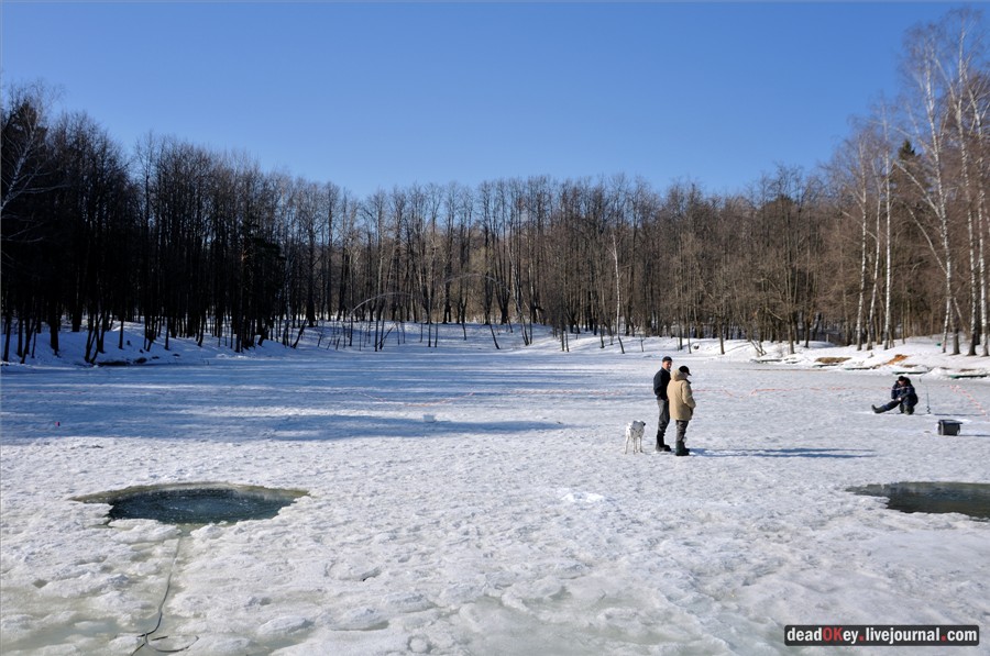усадьба Узкое