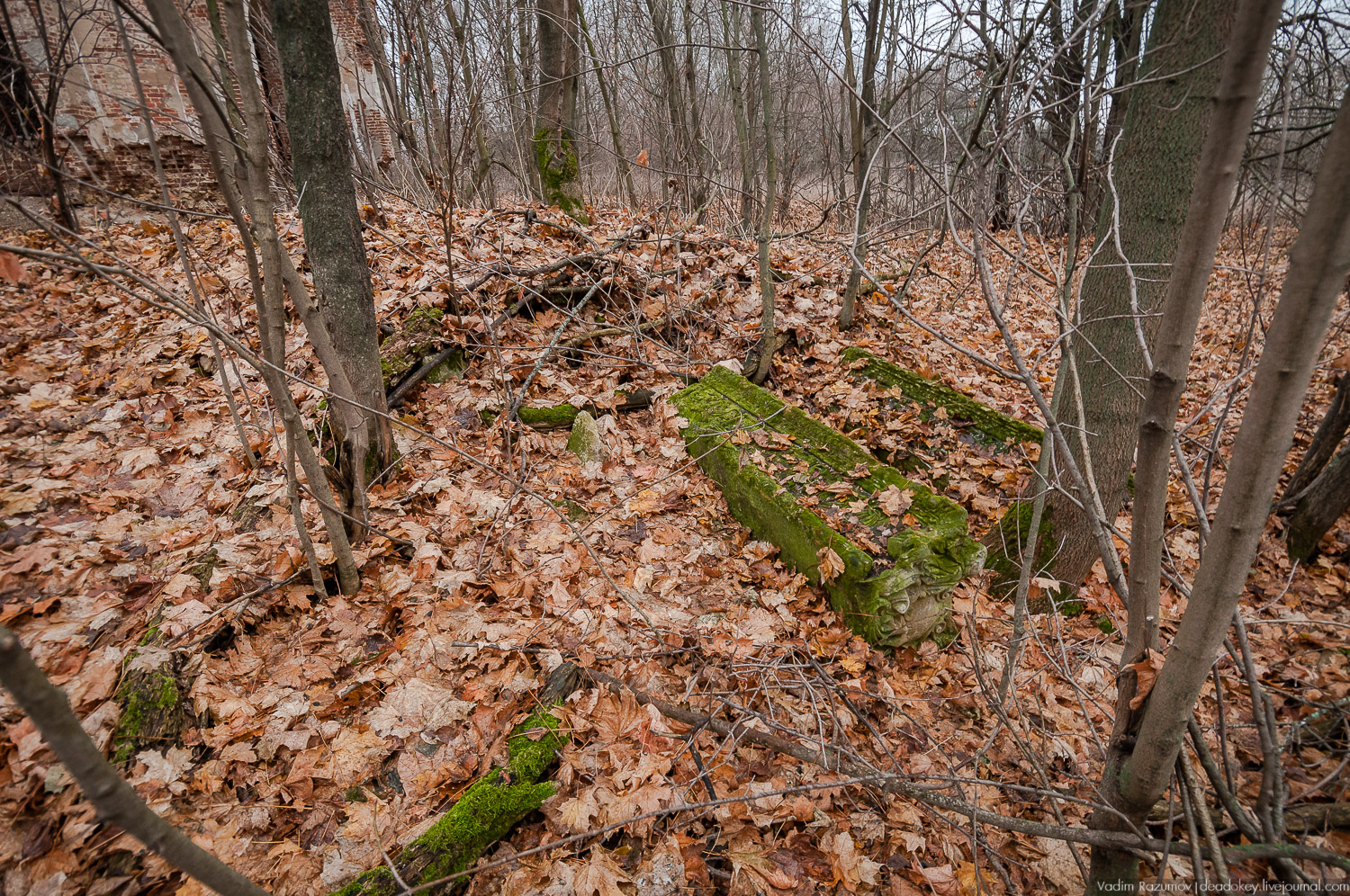усадьба Горки, Заразы, Тульская область, церковь Михаила Архангела