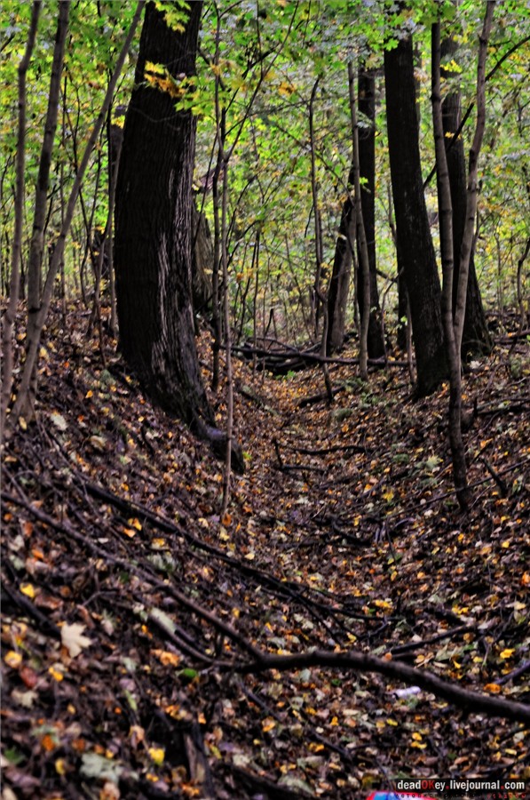 усадьба Ляхово