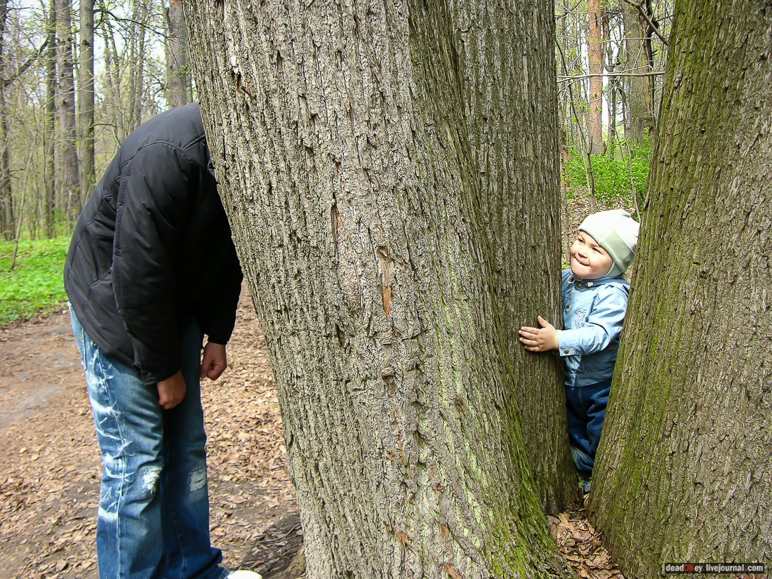 Никольское-Архангельское