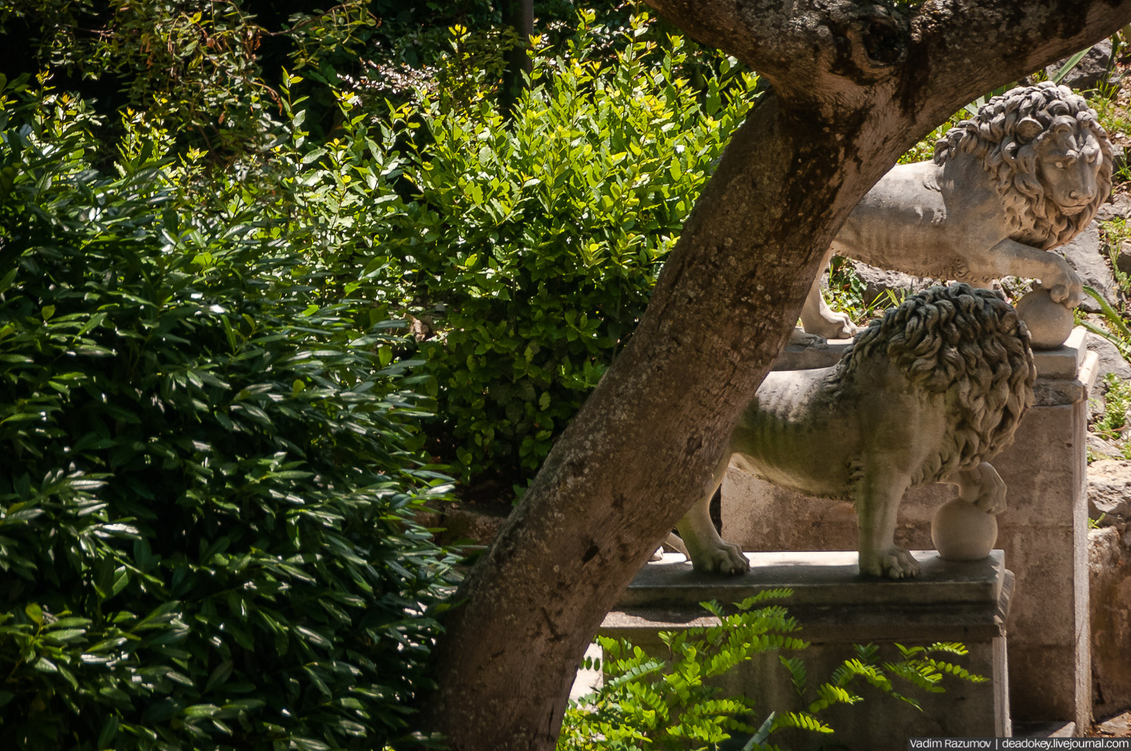 Юсуповский дворец, Крым, львы
