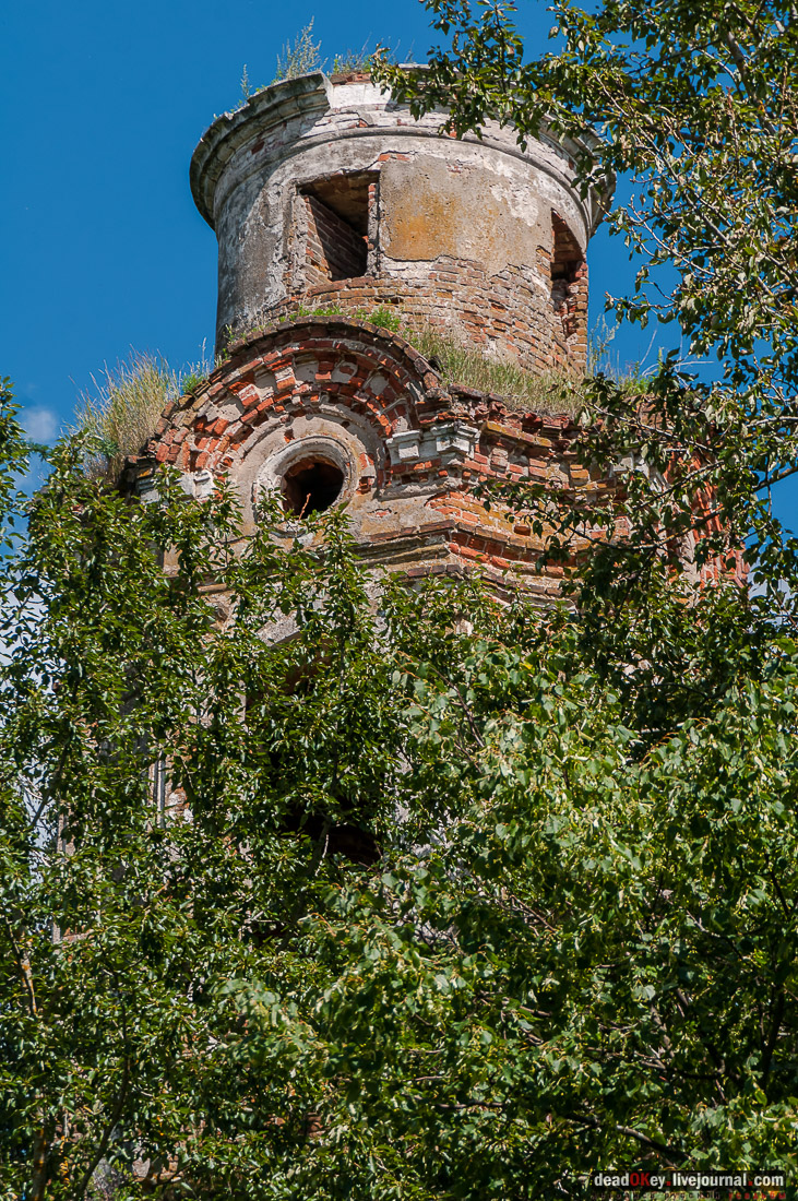усадьба Васильевское Повалишиных