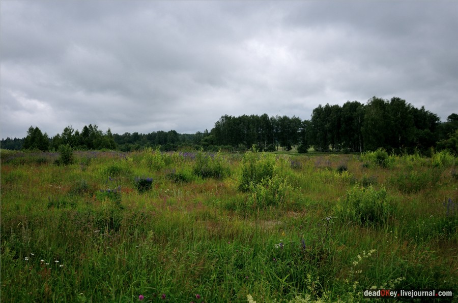 усадьба Хмелево