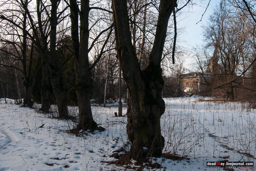 усадьба Виноградово