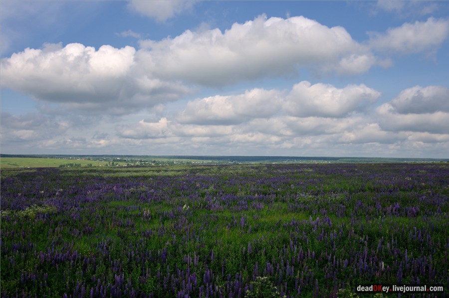 усадьба Ильинское