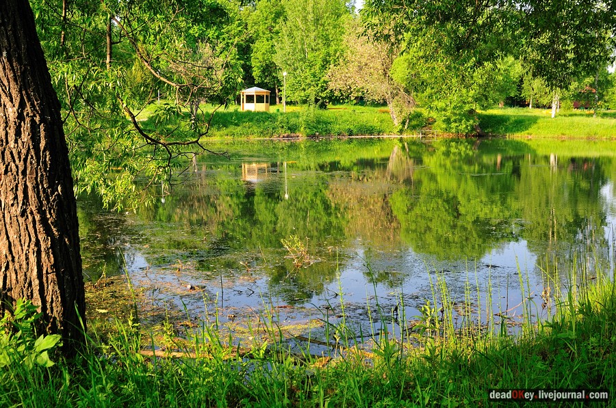 усадьба Богословское-Могильцы