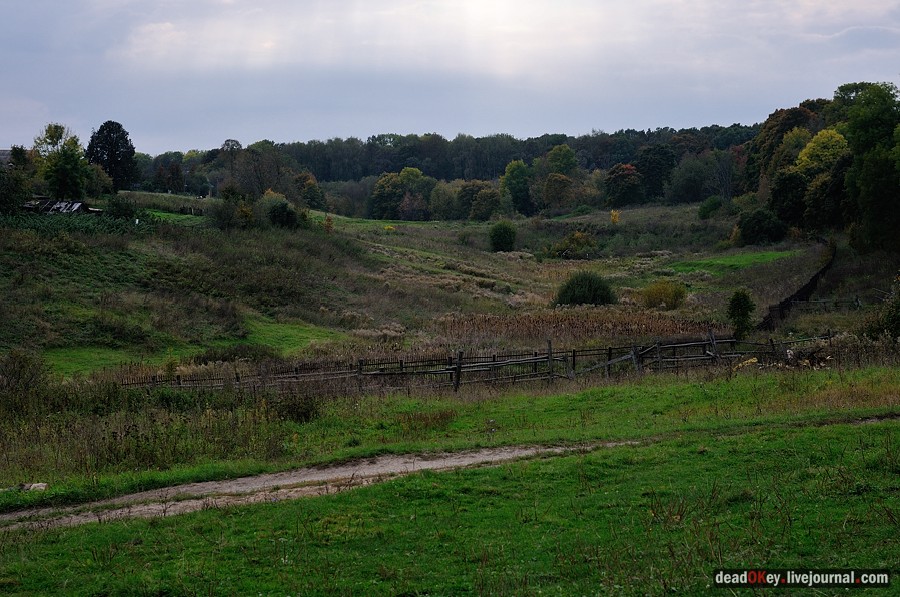 усадьба Ясная Поляна