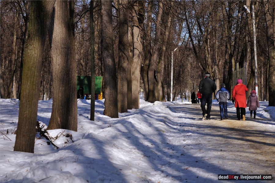 усадьба Кривякино