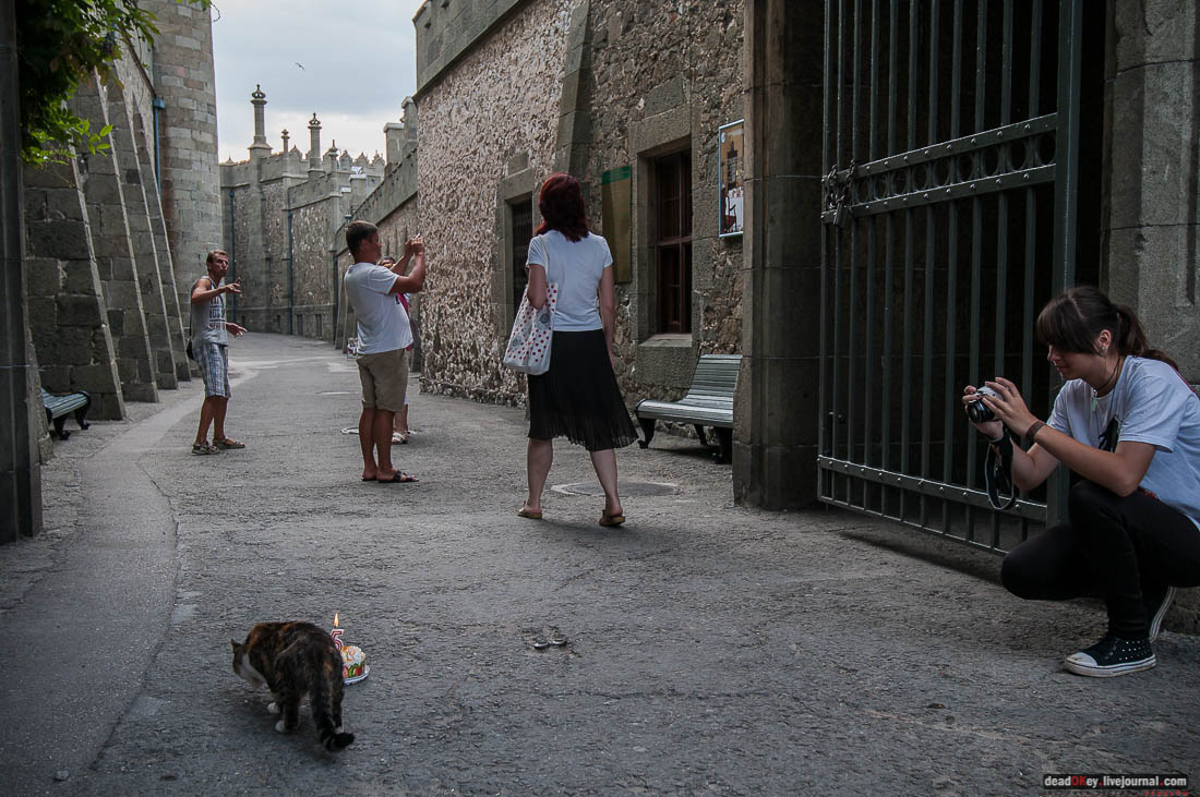 5 лет жж deadokey.livejournal.com