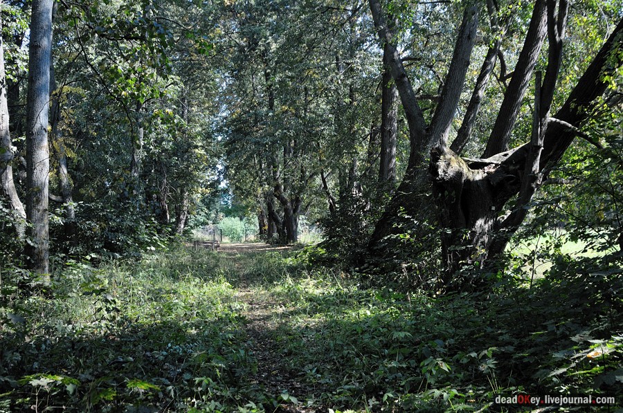 усадьба Опарино