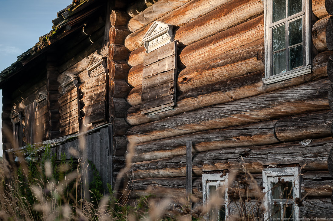 дер. Кучепалда, Архангельская обл.