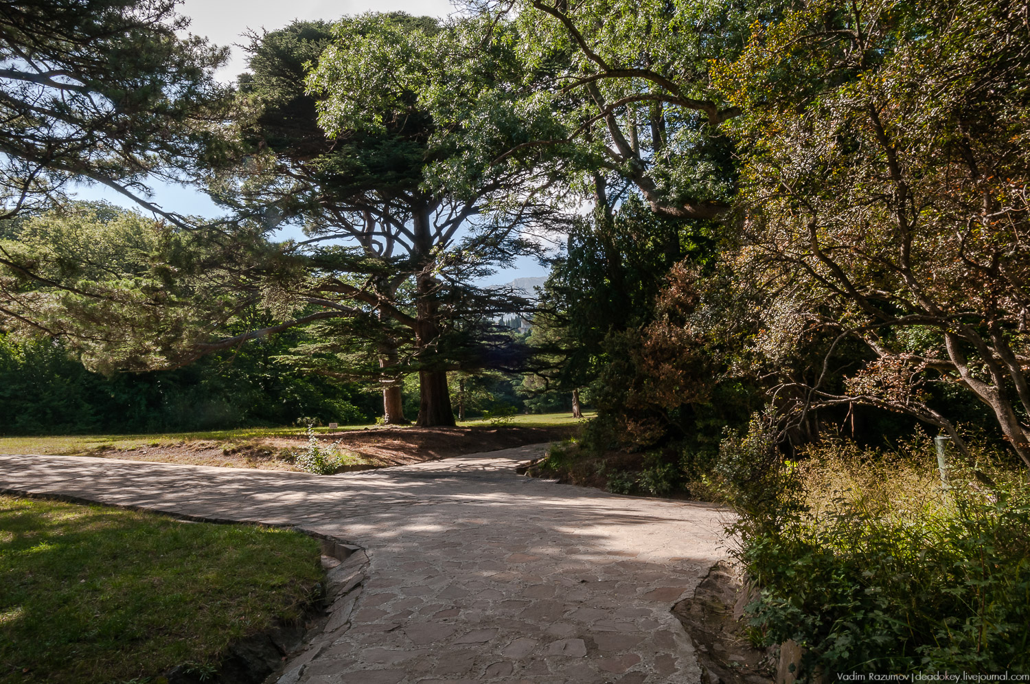 Алупка, Воронцовский дворец, Крым