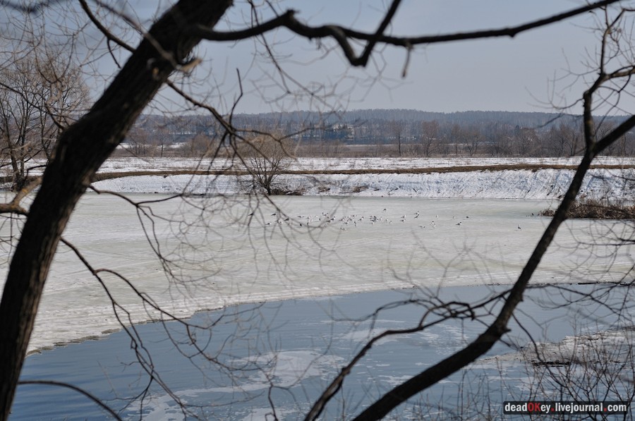 усадьба Уборы