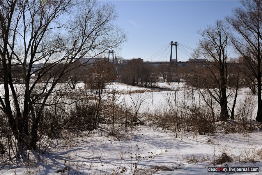 усадьба Кривякино