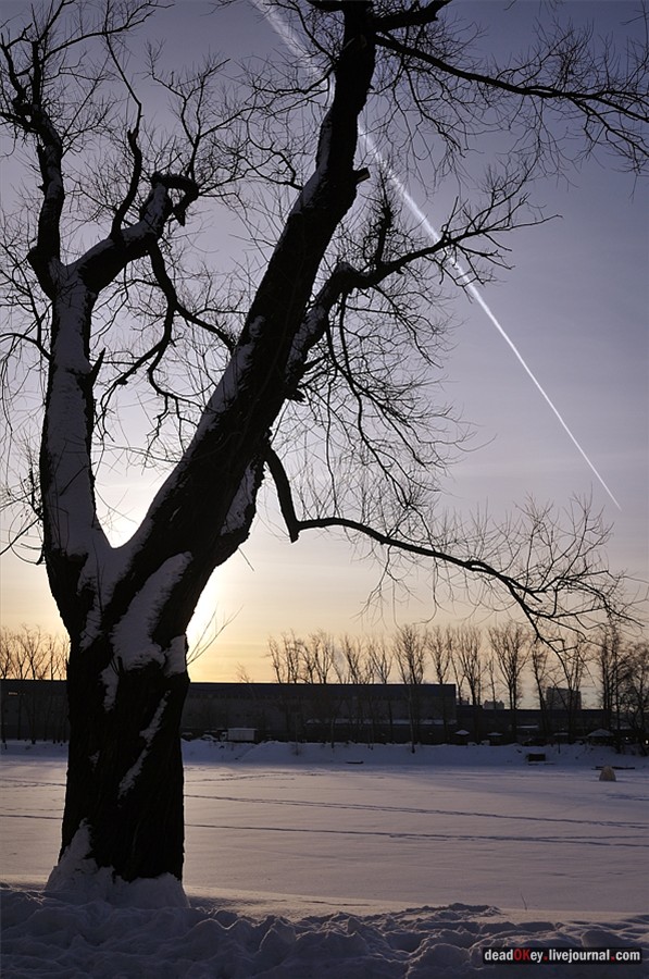 усадьба Белая Дача