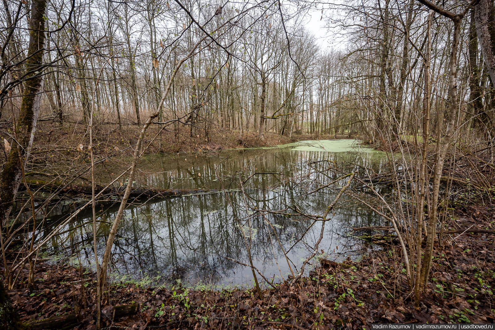 усадьба Колосово, волонтерский субботник 24 апреля 2021 года, Тульская область, НП Русская усадьба