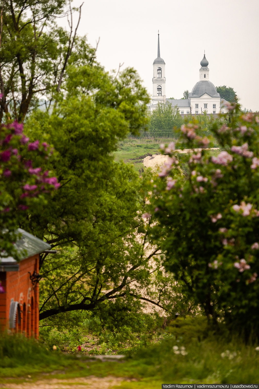 Архангельские Борки, Липецкая область, Липецкий район. Церковь Дмитрия Солунского