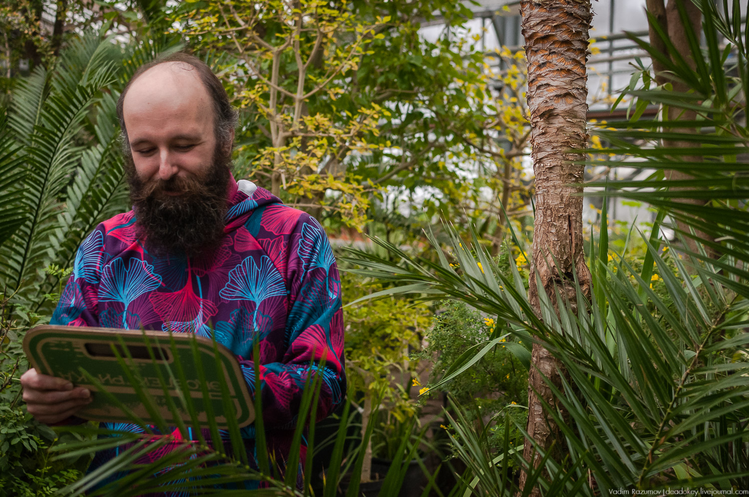 Ботанический сад, фондовая оранжерея, Экоэлектричка, борщевик