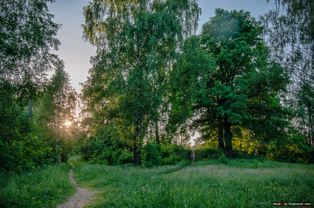 Пейзажный парк в усадьбе Гребнево