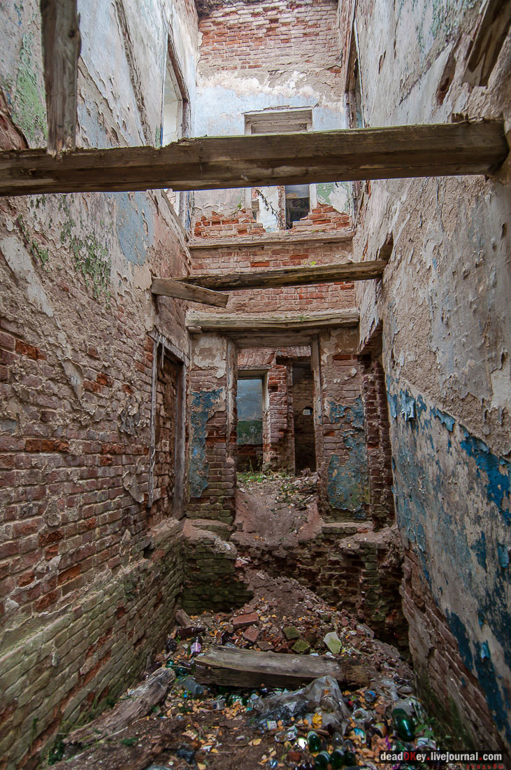 Усадьба Молоди