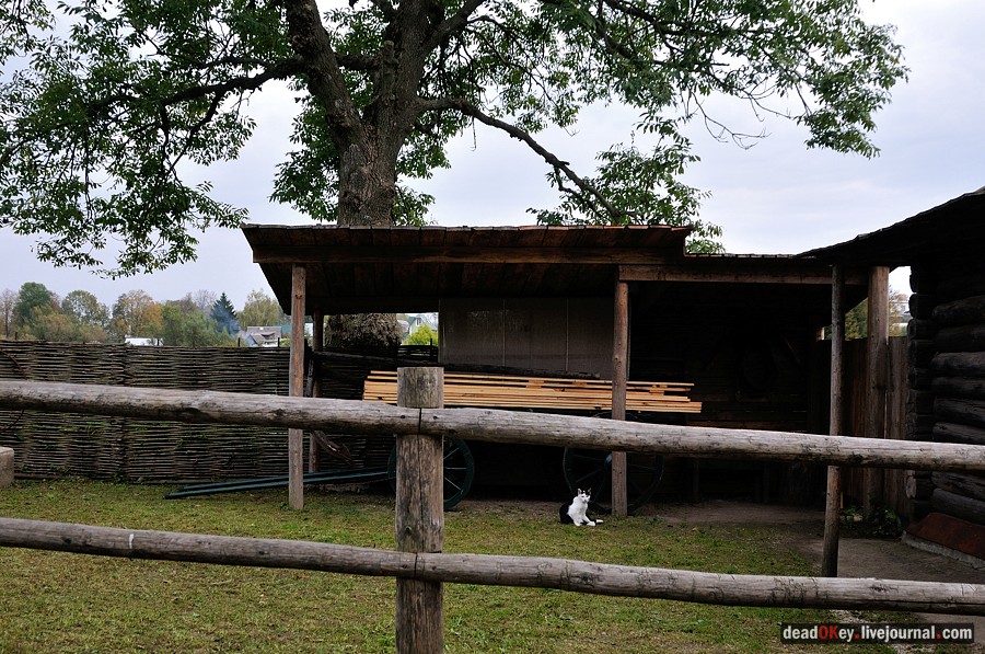 усадьба Ясная Поляна