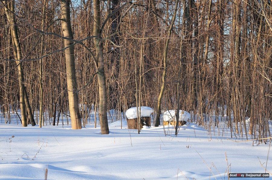 усадьба Архангельское-Тюриково