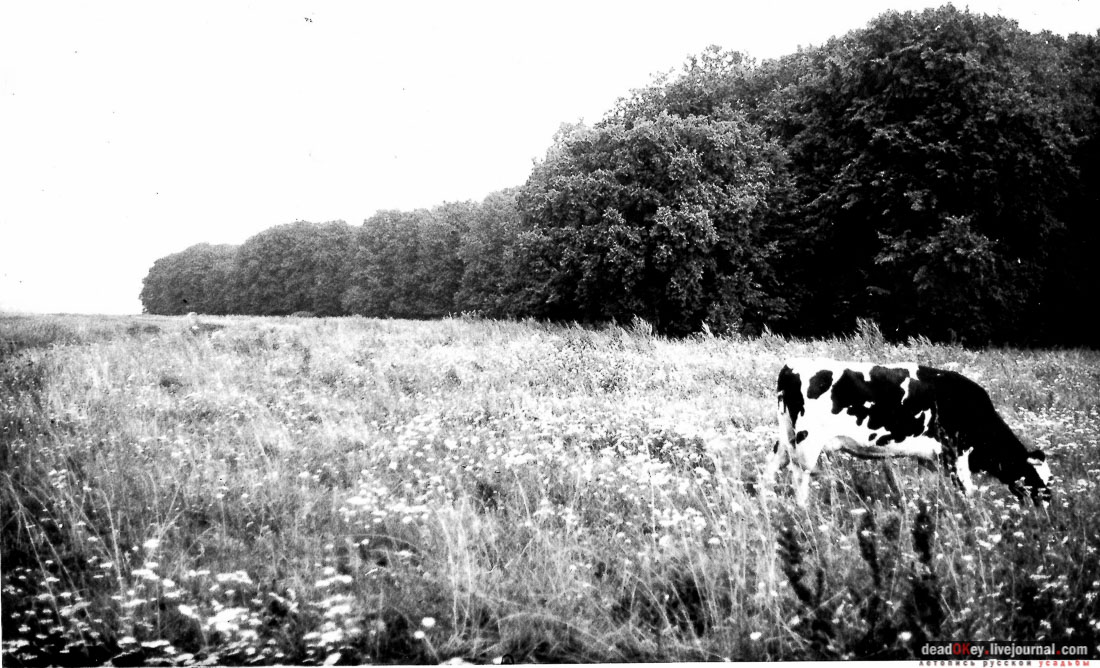 Усадьба Старое Зимино, Рязанская область, Захаровский район