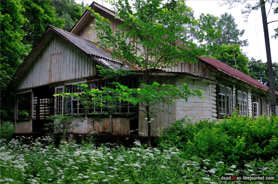 усадьба Паньково