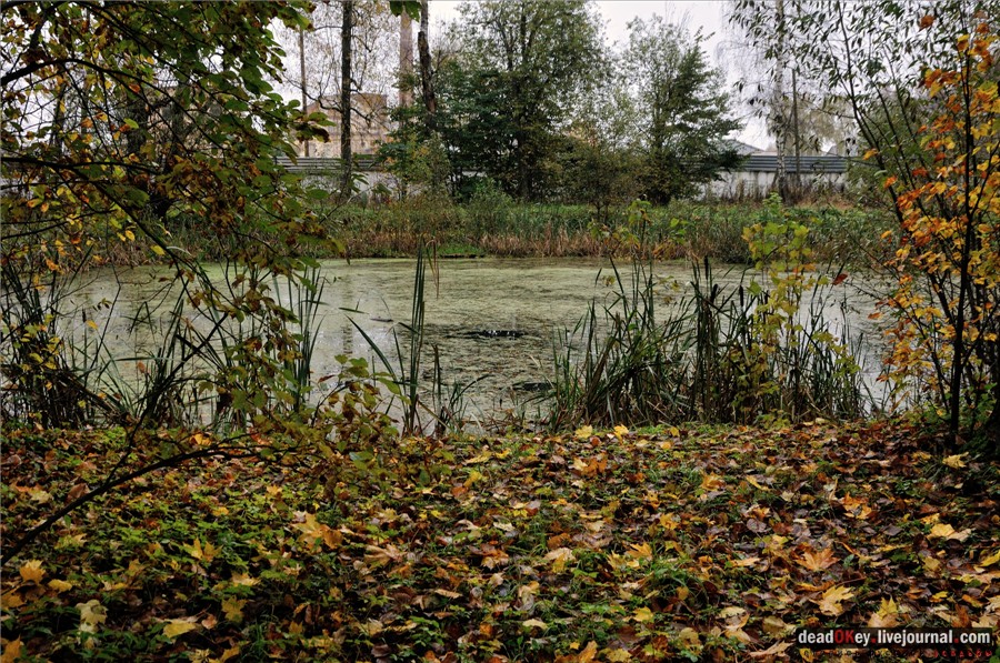 усадьба Сима