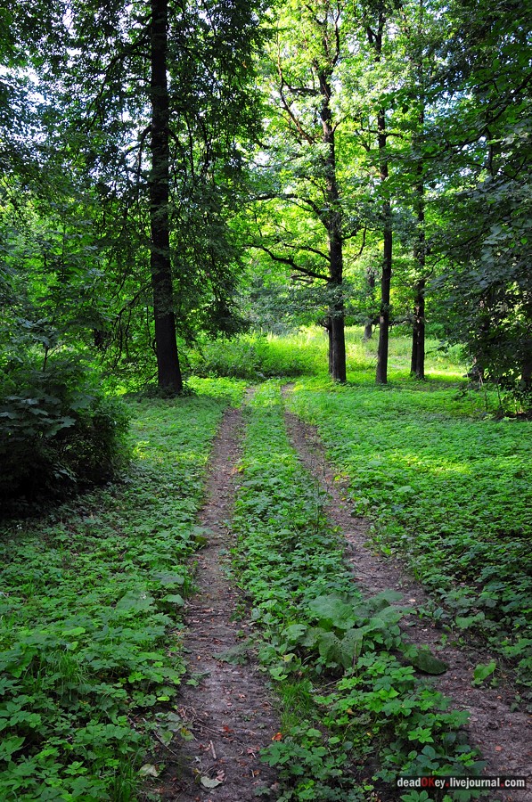 усадьба Смоленское