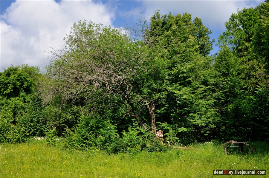 усадьба Ильинское